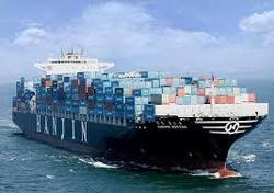 Ocean Freight Forwarding Service